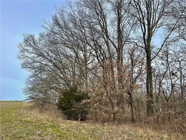 $190,000 | 401 Northwest Nw Road, Chilhowee, MO 64733