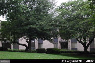 2503 Baltimore Road, Unit 4 Rockville, MD 20853 - Photo 1 of 1 Exterior (Main)
