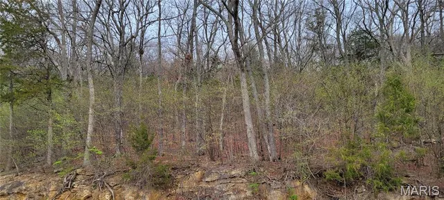 $125,000 | 600 North High Post Road, Augusta, MO 63332