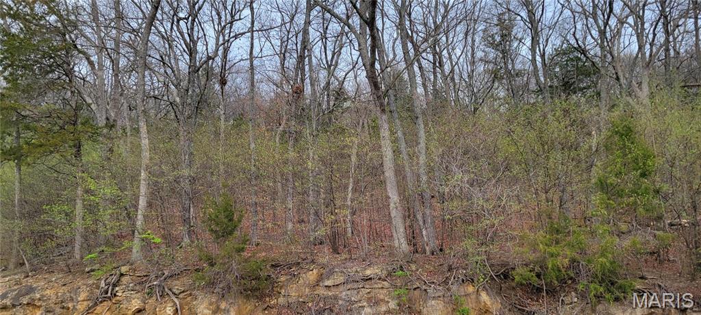 600 North High Post Road Augusta, MO 63332 - Photo 1 of 19