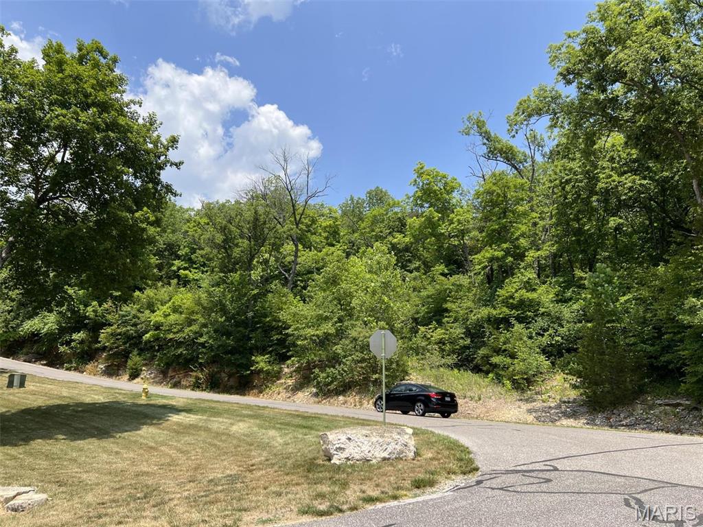 600 North High Post Road Augusta, MO 63332 - Photo 2 of 19