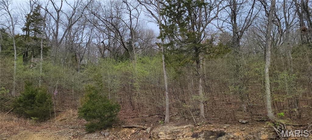 600 North High Post Road Augusta, MO 63332 - Photo 3 of 19