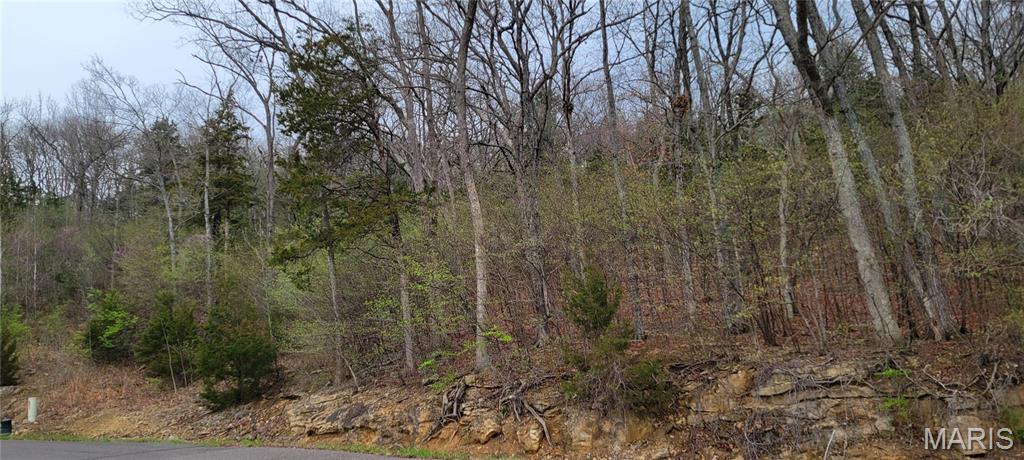 600 North High Post Road Augusta, MO 63332 - Photo 4 of 19