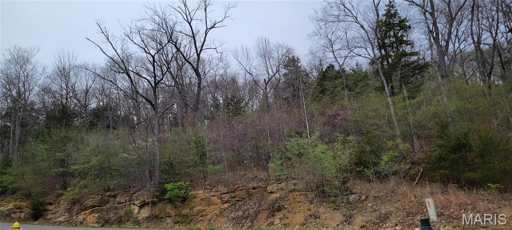 600 North High Post Road Augusta, MO 63332 - Photo 6 of 19