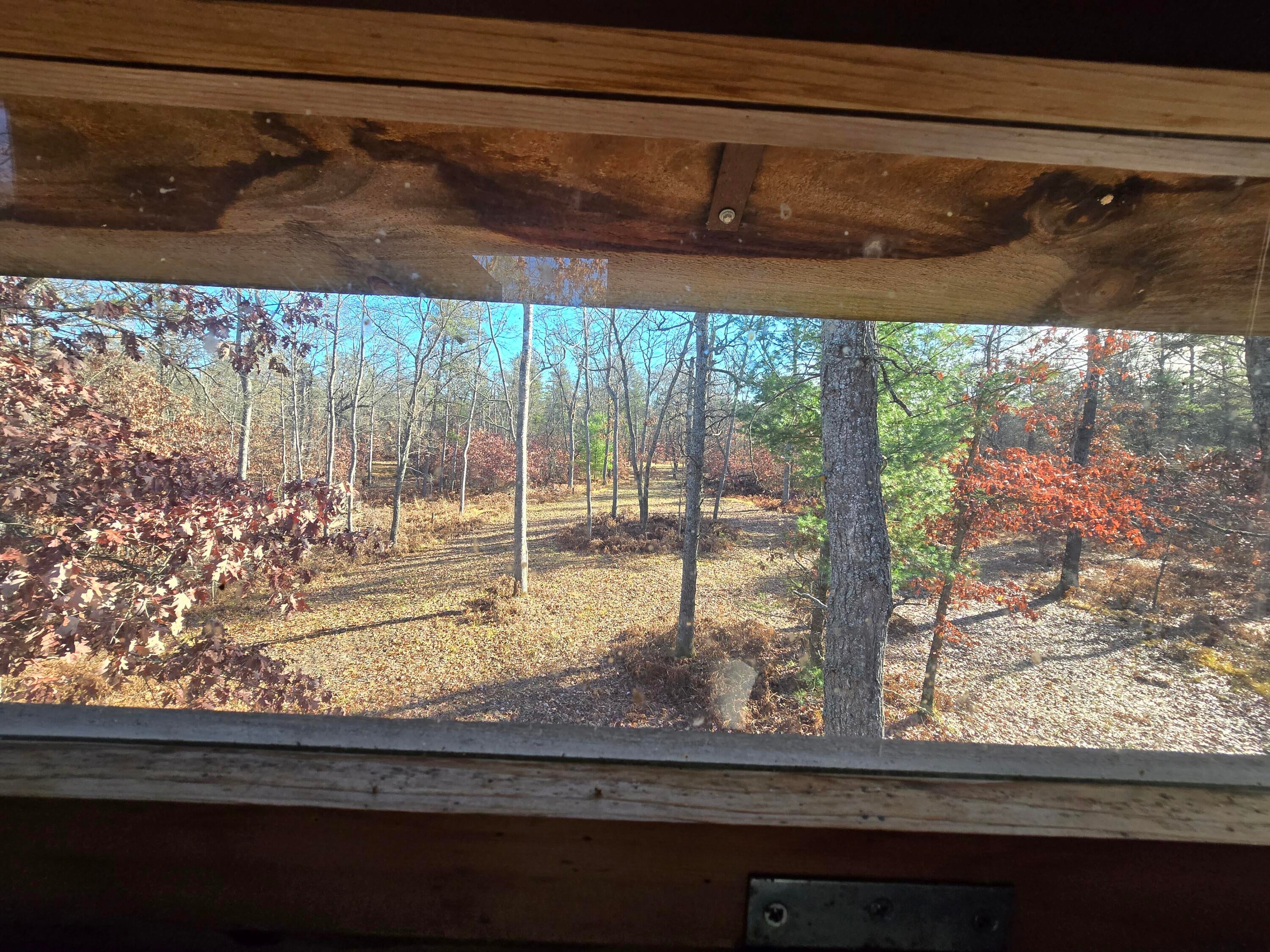 1500 Hardy Grade Road Curran, MI 48728 - Photo 60 of 81 Gallery Image 60