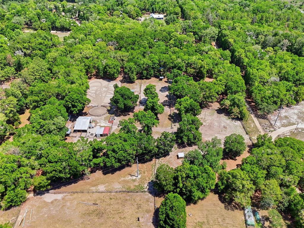 9106 Southwest 124 Street Archer, FL 32618 - Photo 29 of 35