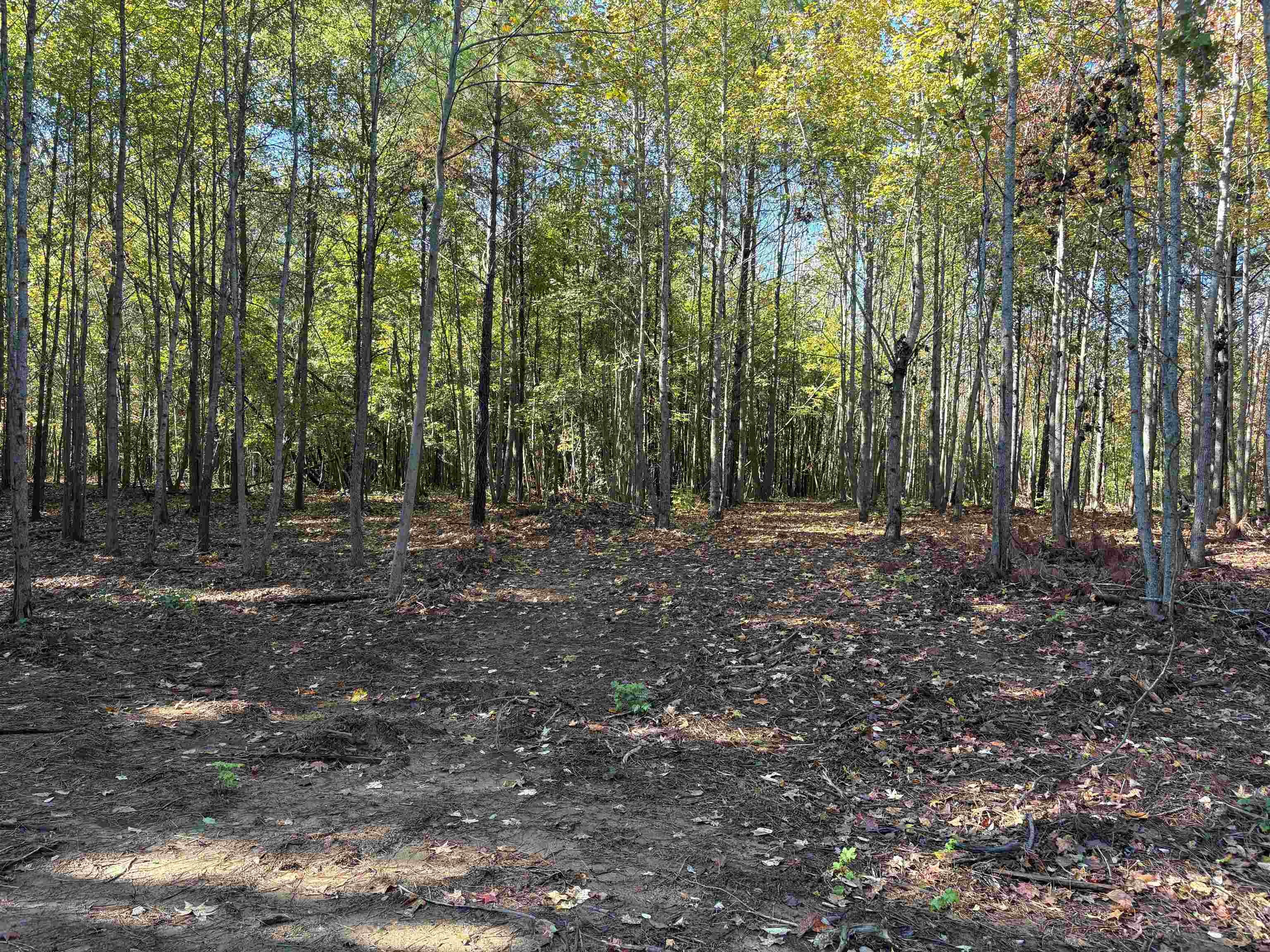 0 Bethuel Road, Unit 13 Millington, TN 38053 - Photo 9 of 15
