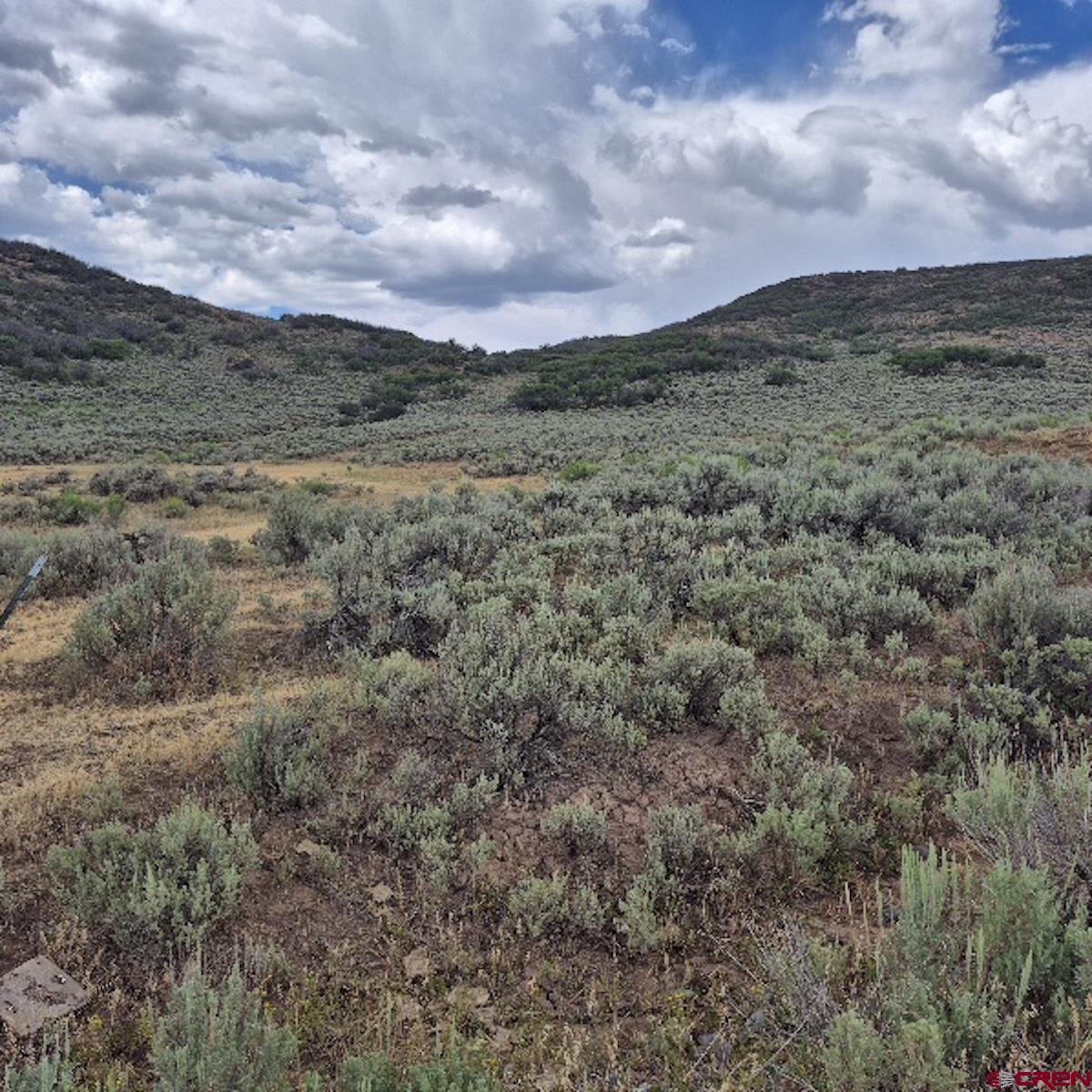 8 Harrison Creek Road Collbran, CO 81624 - Photo 19 of 40 Gallery Image 19