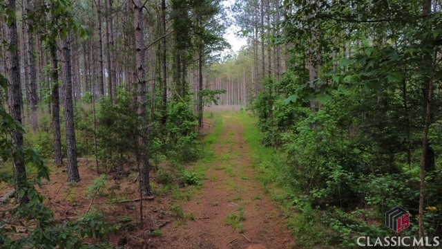 38 Cromer Road Elberton, GA 30635 - Photo 30 of 39