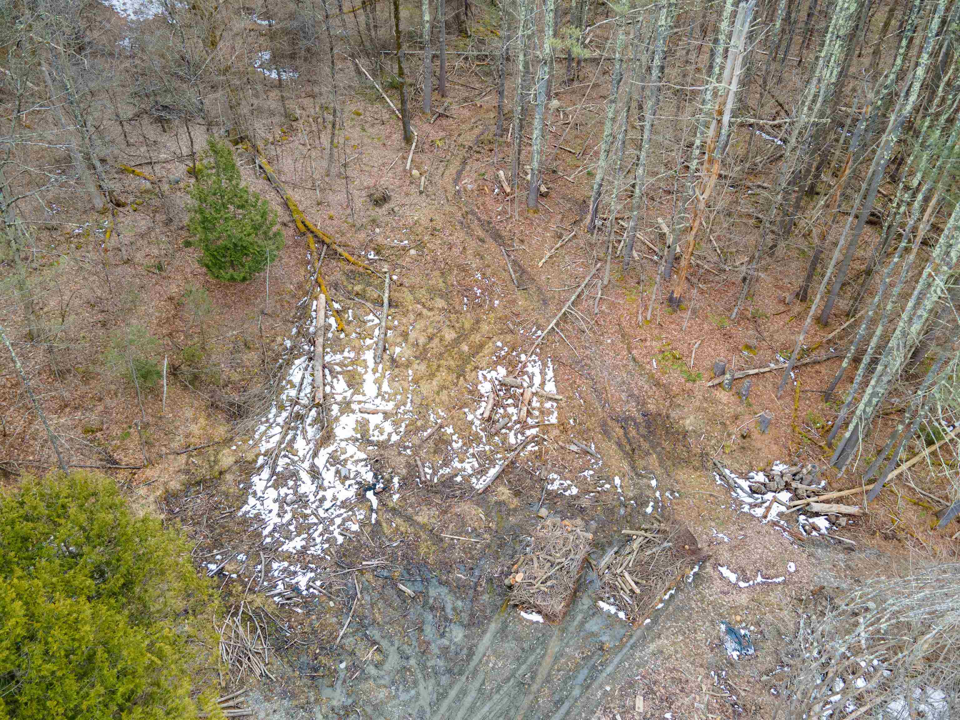 0 Weaver Hill Road West Rutland, VT 05777 - Photo 16 of 19