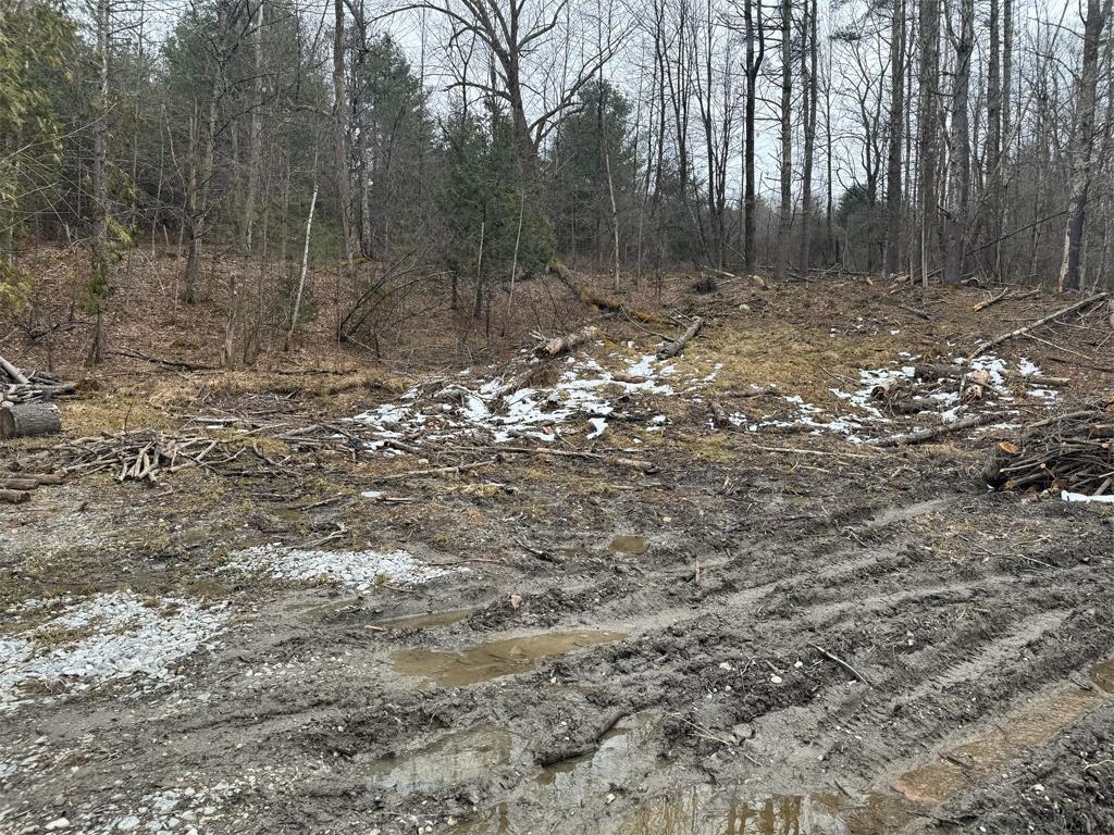0 Weaver Hill Road West Rutland, VT 05777 - Photo 4 of 19