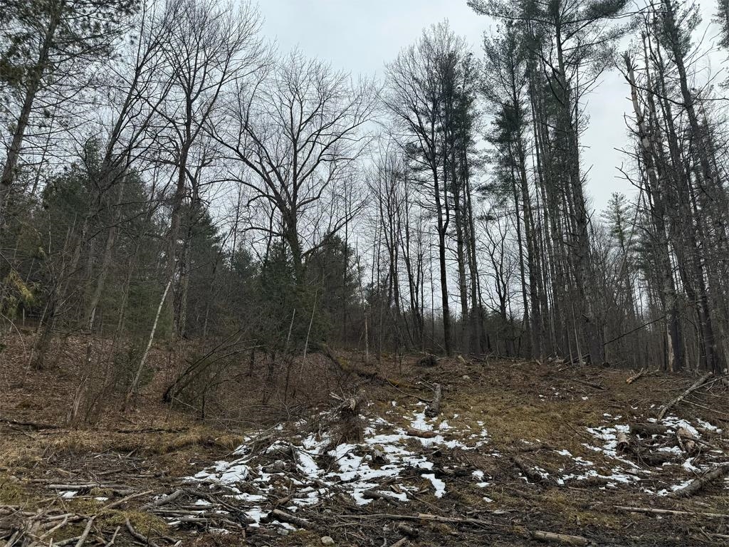 0 Weaver Hill Road West Rutland, VT 05777 - Photo 6 of 19