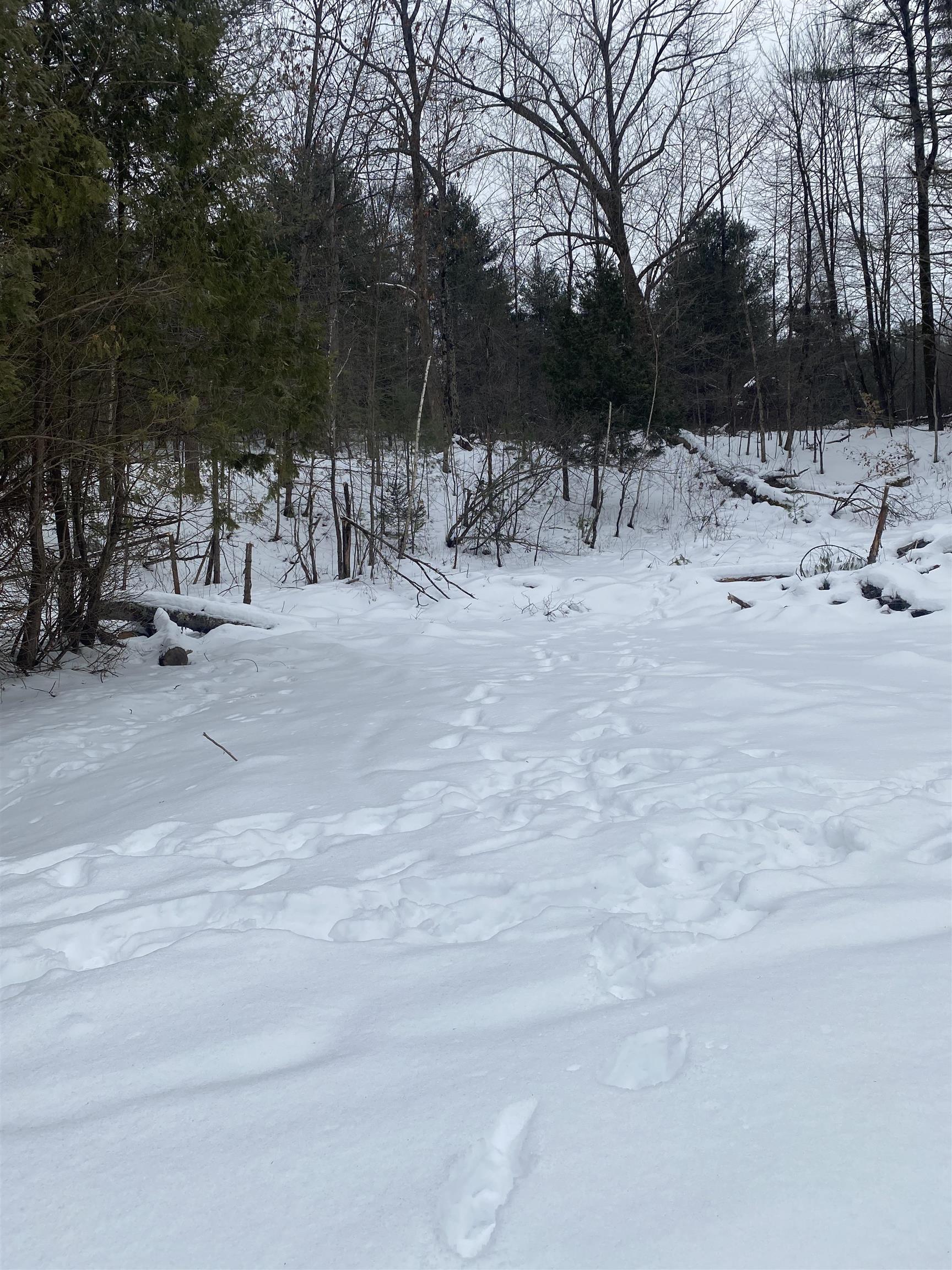 0 Weaver Hill Road West Rutland, VT 05777 - Photo 9 of 19