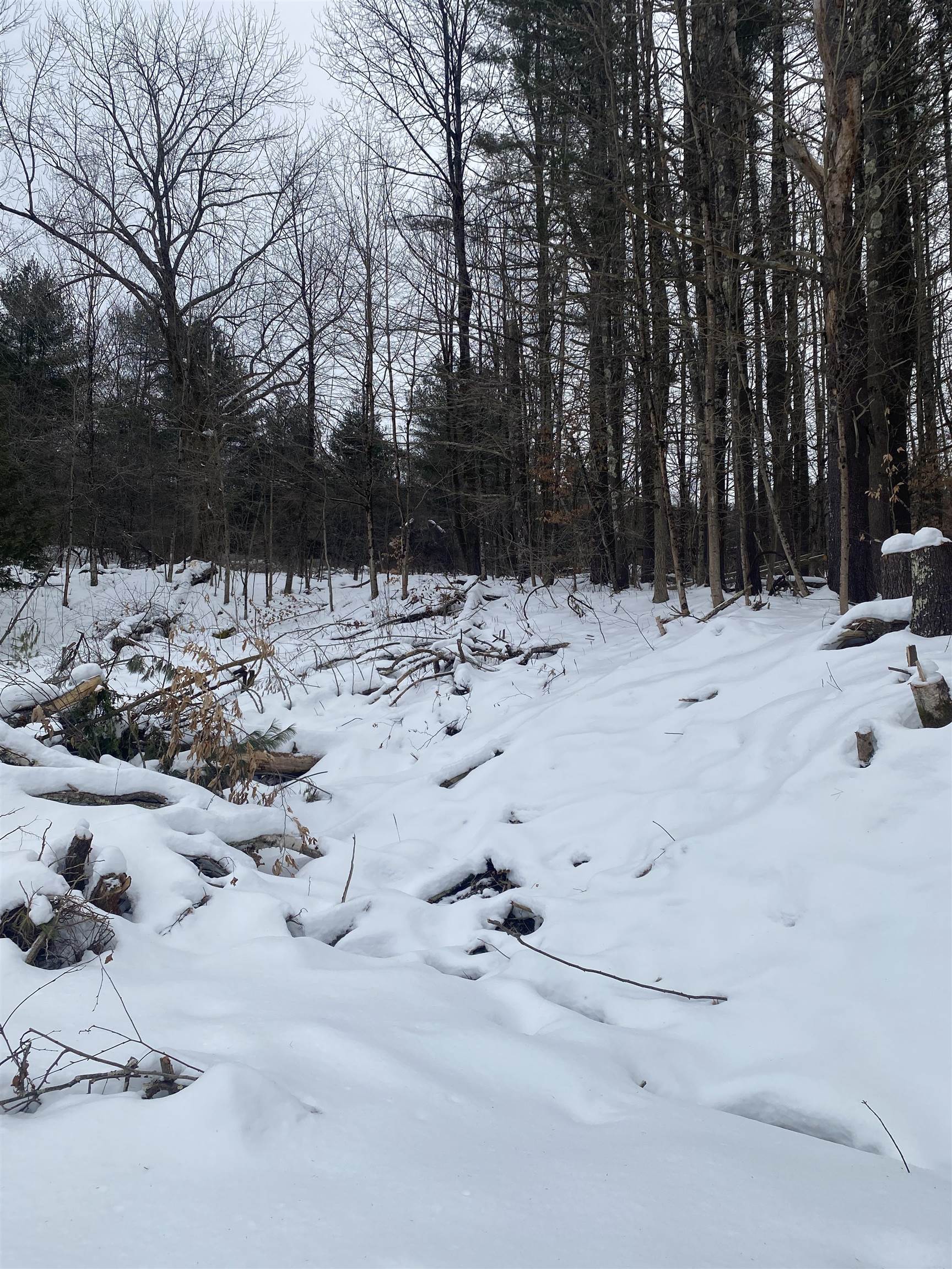 0 Weaver Hill Road West Rutland, VT 05777 - Photo 10 of 19