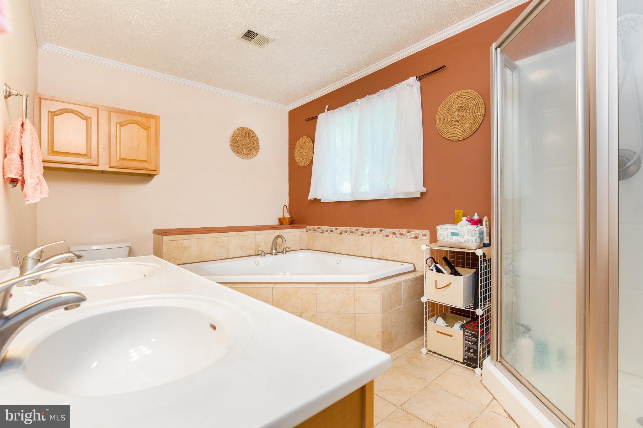 9314 General Winder Road Rapidan, VA 22733 - Photo 19 of 29 Bath (Master)