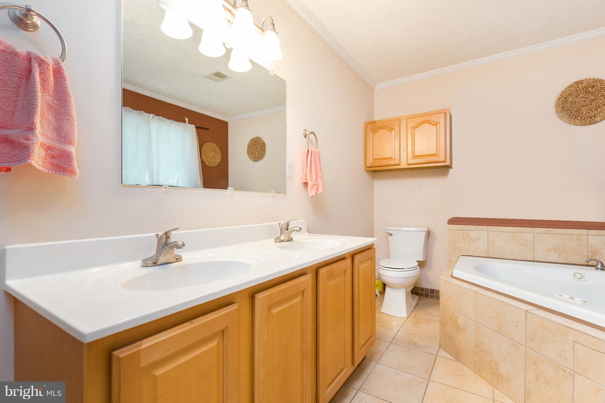 9314 General Winder Road Rapidan, VA 22733 - Photo 20 of 29 Bath (Master)
