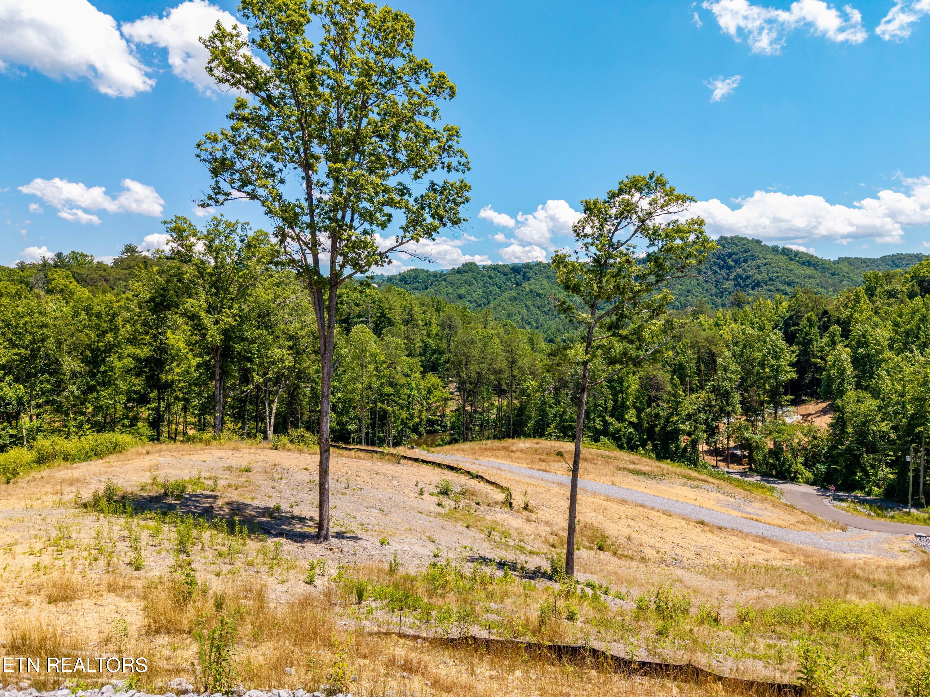 Waldens Creek Road Sevierville, TN 37862 - Photo 43 of 46 WaldensCreekRd-43