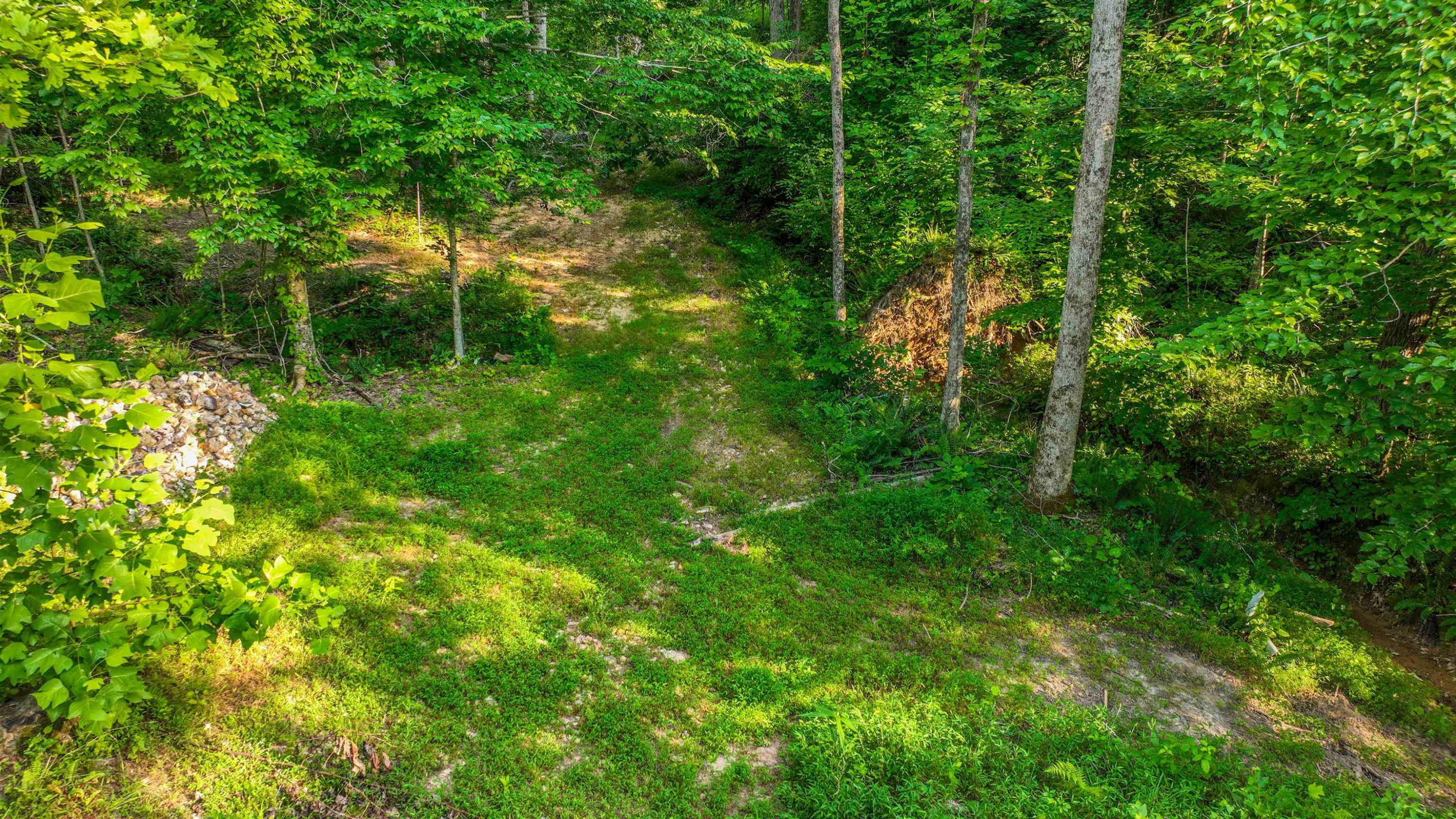 Parkburg Road Jackson, TN 38301 - Photo 12 of 16 a view of yard
