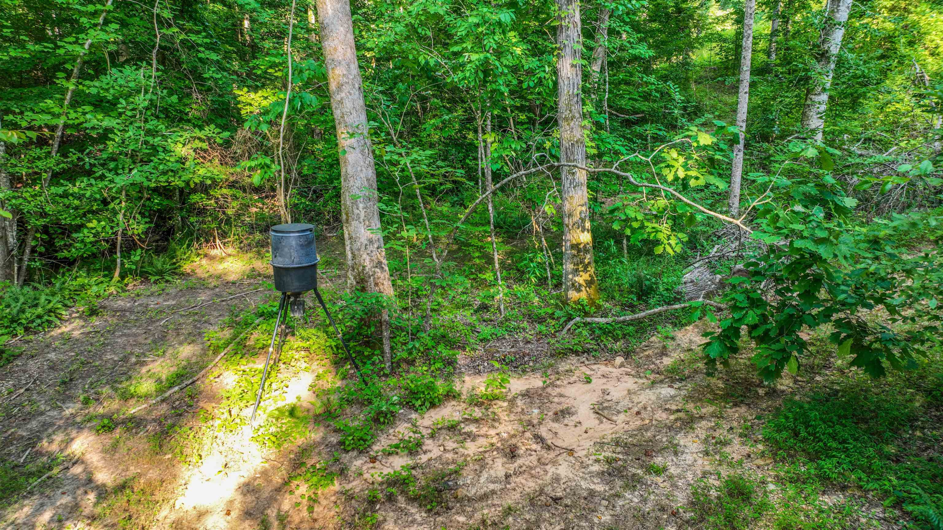 Parkburg Road Jackson, TN 38301 - Photo 13 of 16 a view of yard