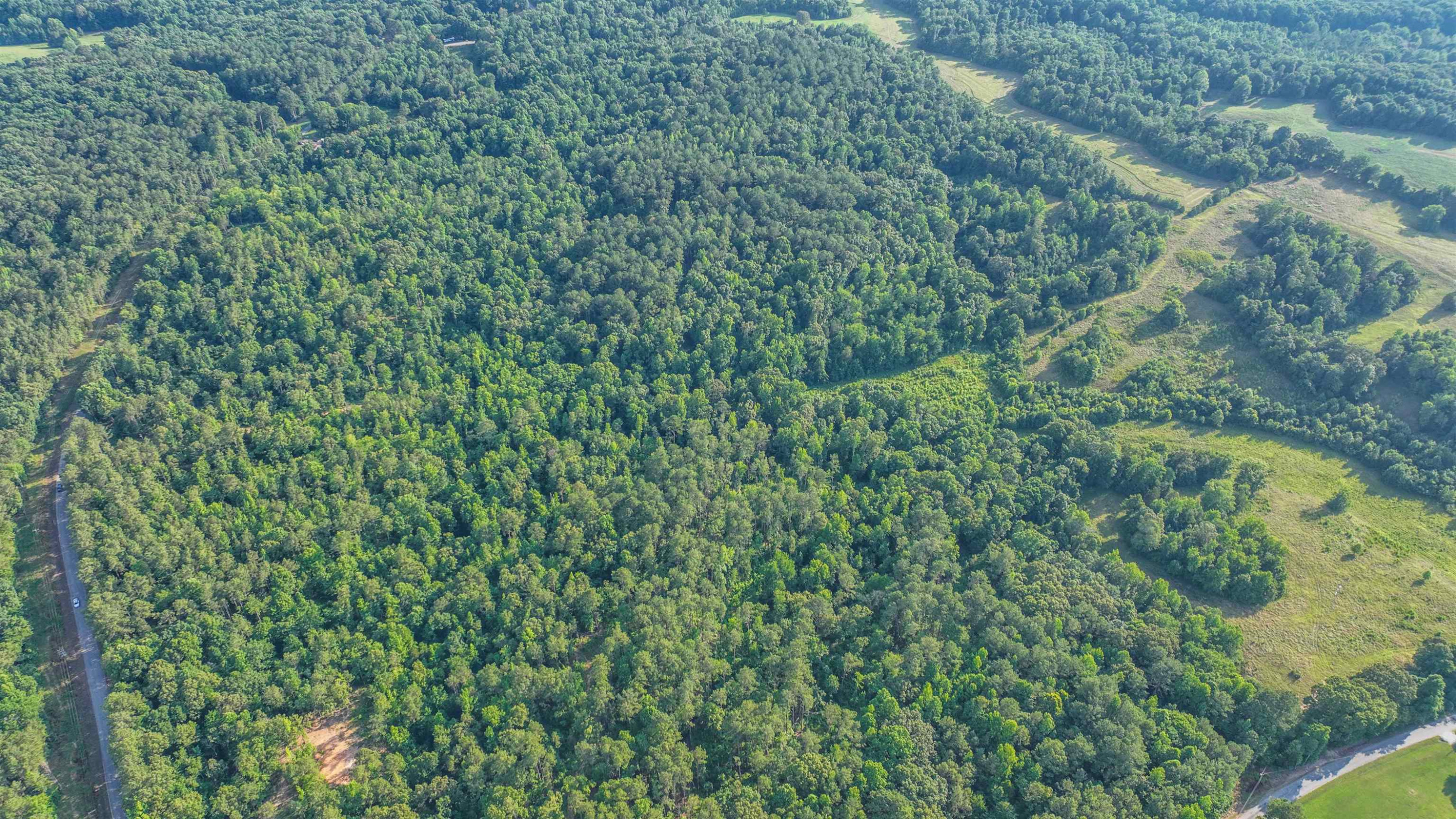 Parkburg Road Jackson, TN 38301 - Photo 5 of 16
