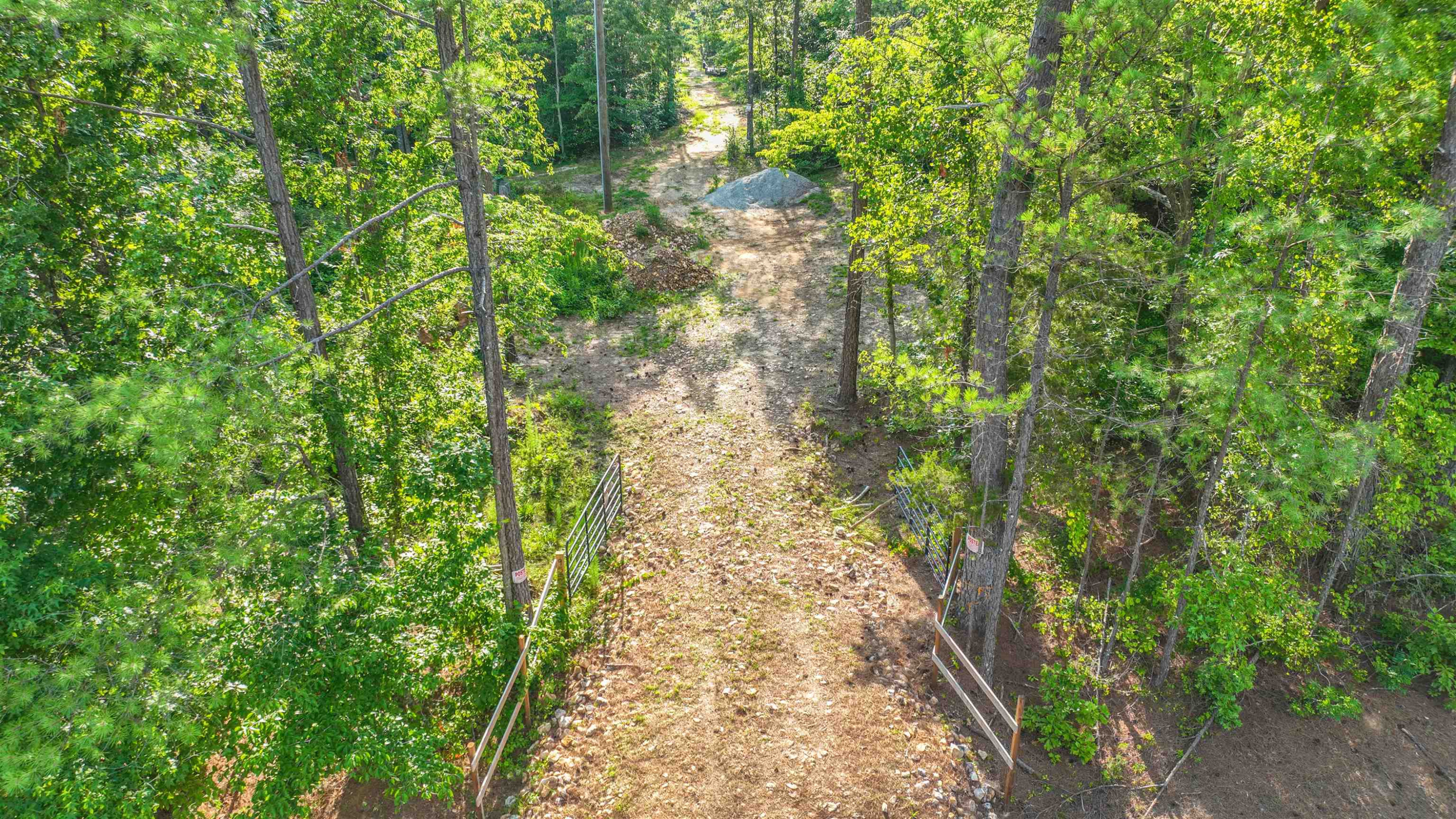Parkburg Road Jackson, TN 38301 - Photo 6 of 16 a view of a yard with plants and trees