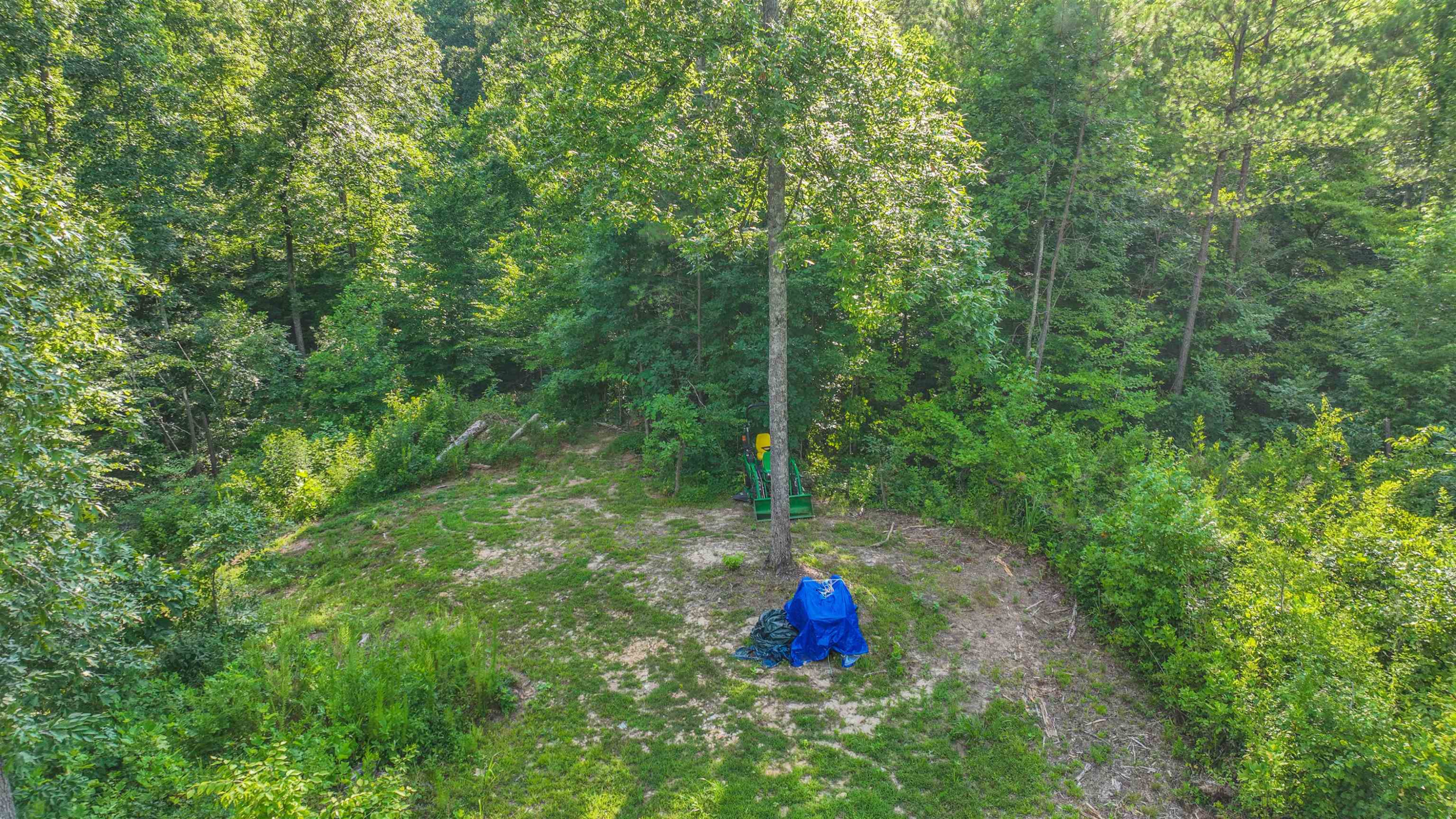 Parkburg Road Jackson, TN 38301 - Photo 10 of 16 a view of a outdoor space