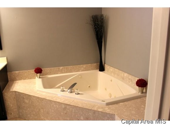4100 Clearwater Lane Springfield, IL 62703 - Photo 11 of 13 Gallery Image 11