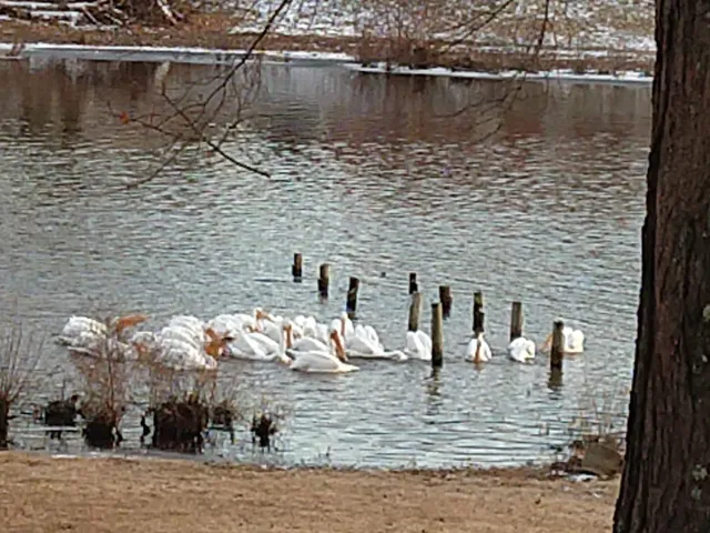 $379,900 | 1278 Nicklaus Lane, Marion, IL 62959