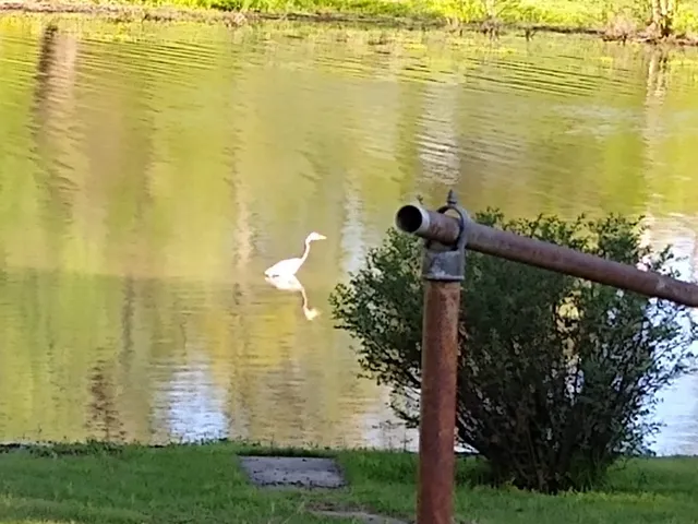 $379,900 | 1278 Nicklaus Lane, Marion, IL 62959