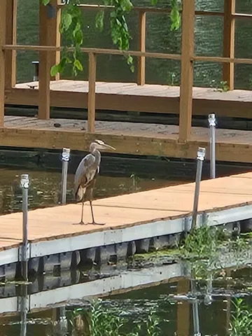 $379,900 | 1278 Nicklaus Lane, Marion, IL 62959