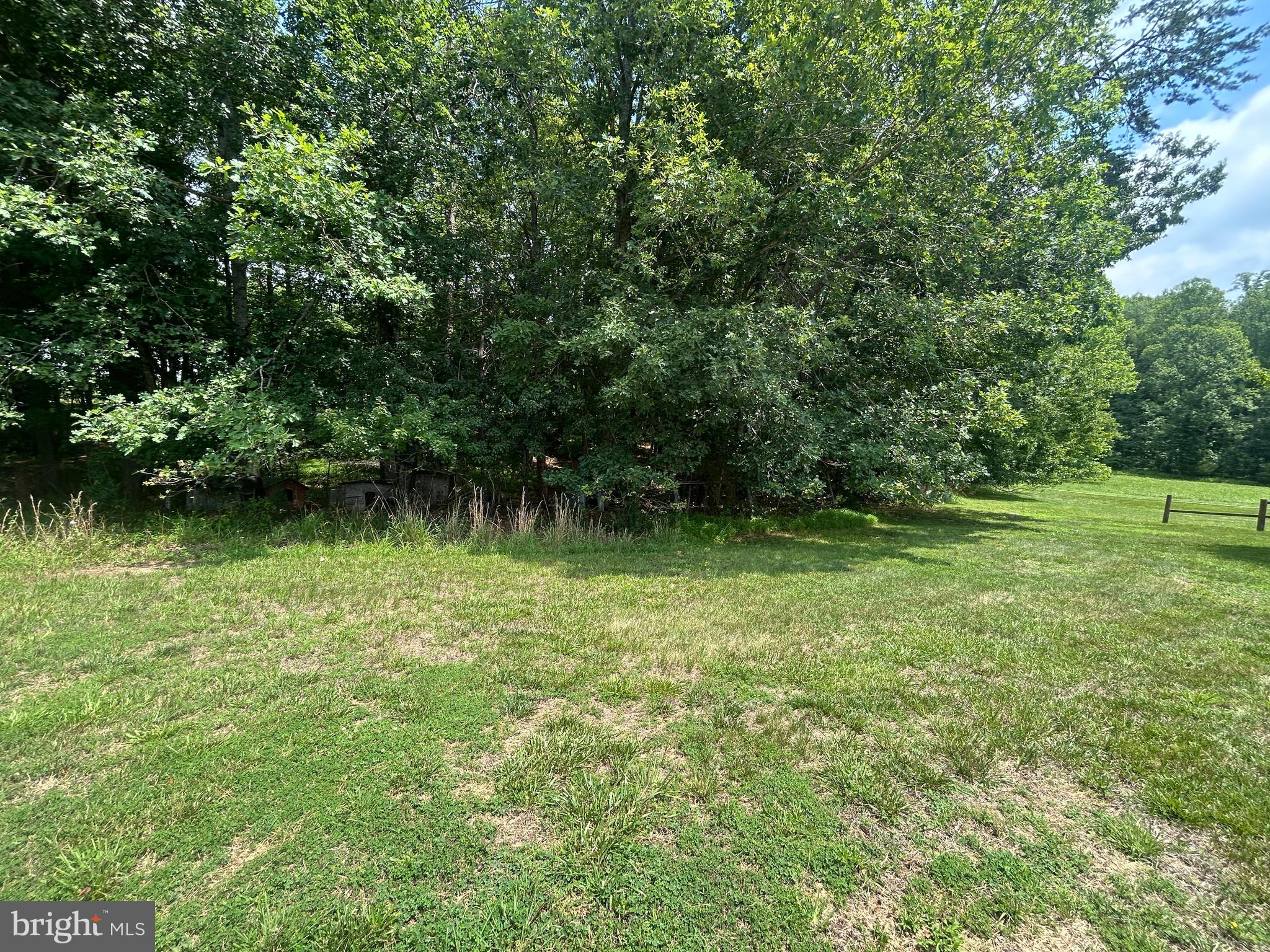 23221 Independence Road Unionville, VA 22567 - Photo 37 of 41 Yard