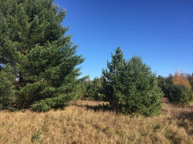 On Lakewood Road Tomahawk, WI 54487 - Photo 2 of 5 Gallery Image 2