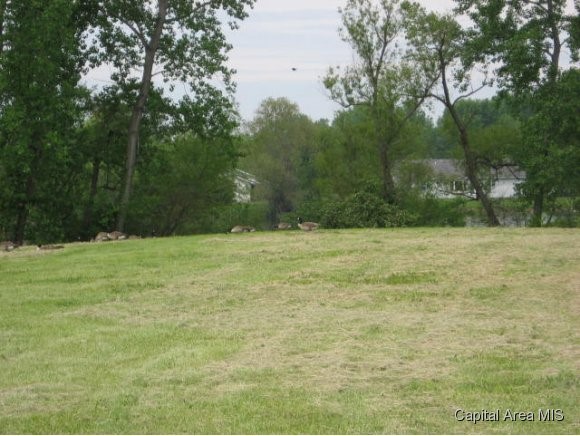 Frontier Drive Athens, IL 62613 - Photo 1 of 1 Gallery Image 1