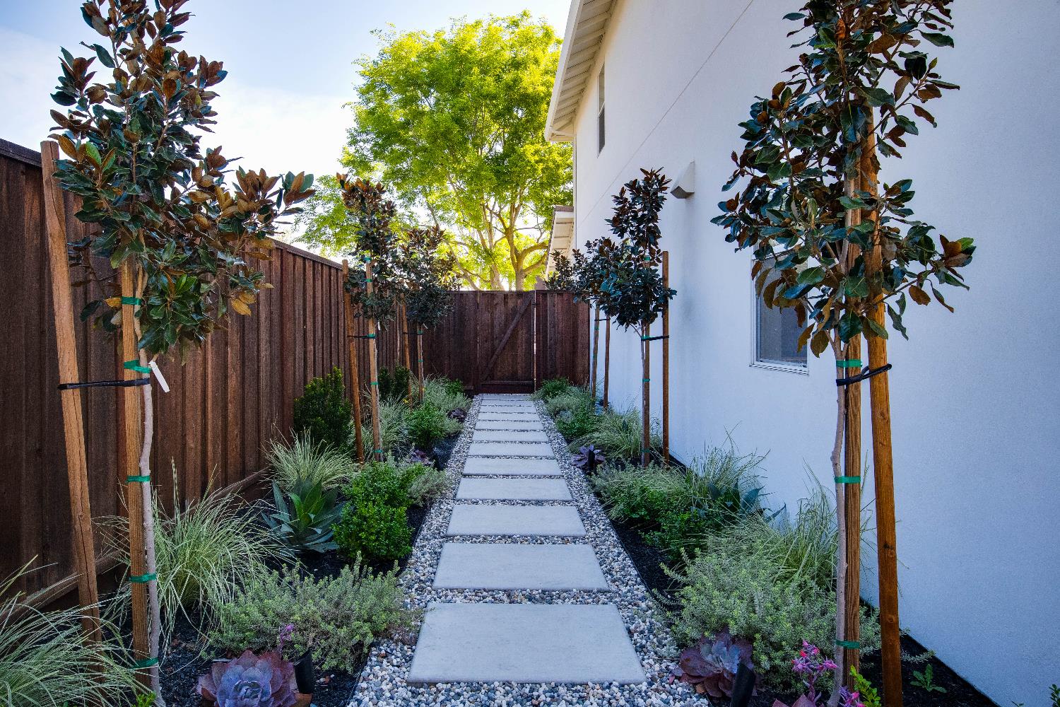 637 Rebekah Court Ripon, CA 95366 - Photo 62 of 69