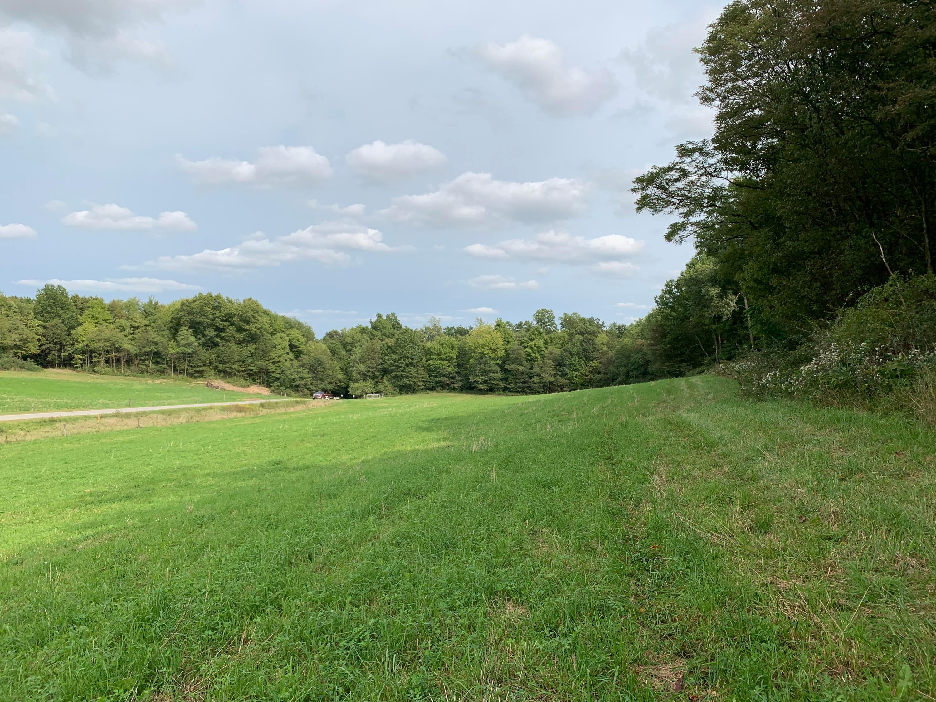 0 Cherry Run Road Northwest Strasburg, OH 44680 - Photo 18 of 35 20200916_194111558_iOS