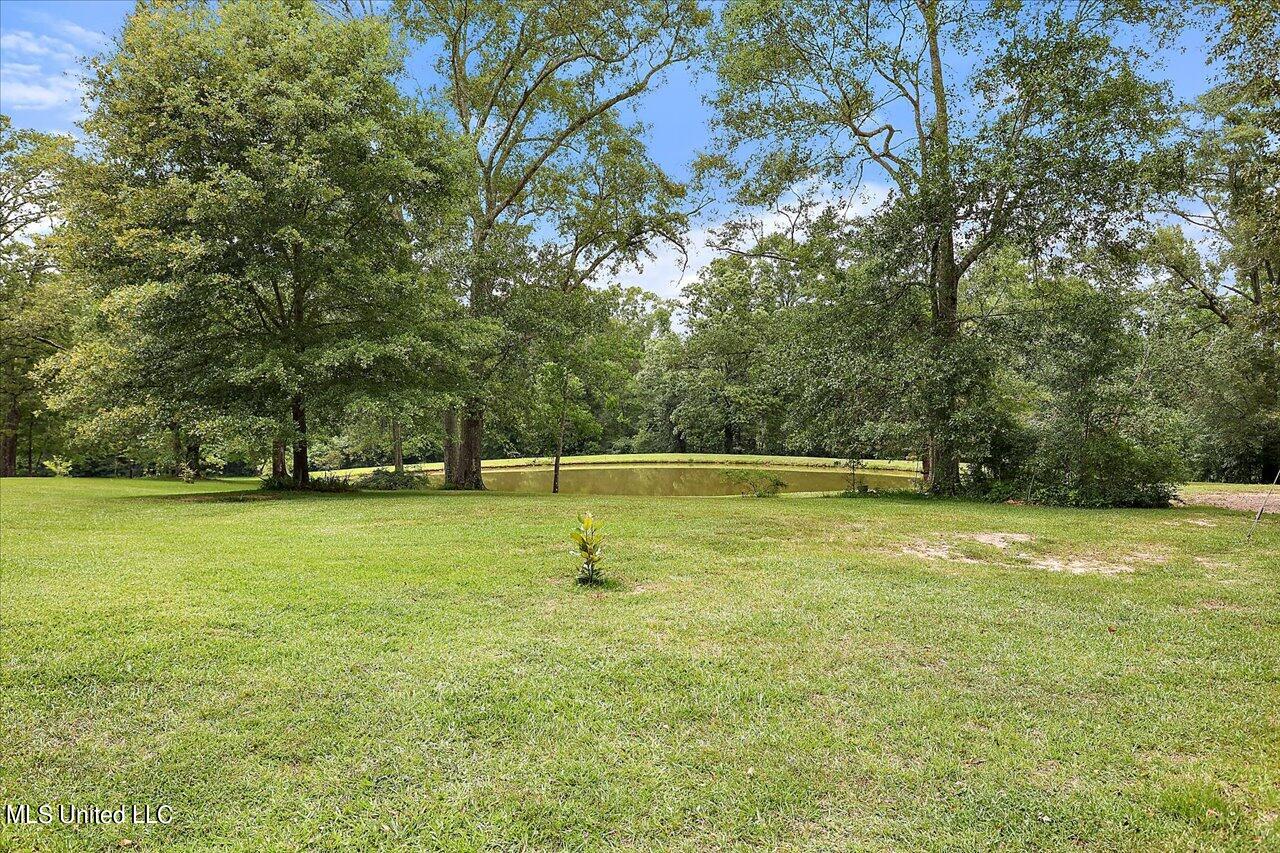 11657 Springridge Road Terry, MS 39170 - Photo 61 of 84 007-11657 Springridge Rd