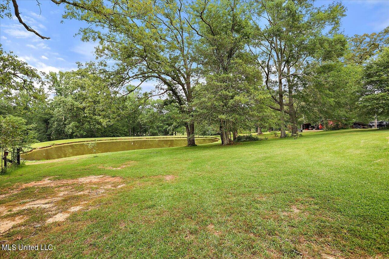 11657 Springridge Road Terry, MS 39170 - Photo 62 of 84 058-11657 Springridge Rd
