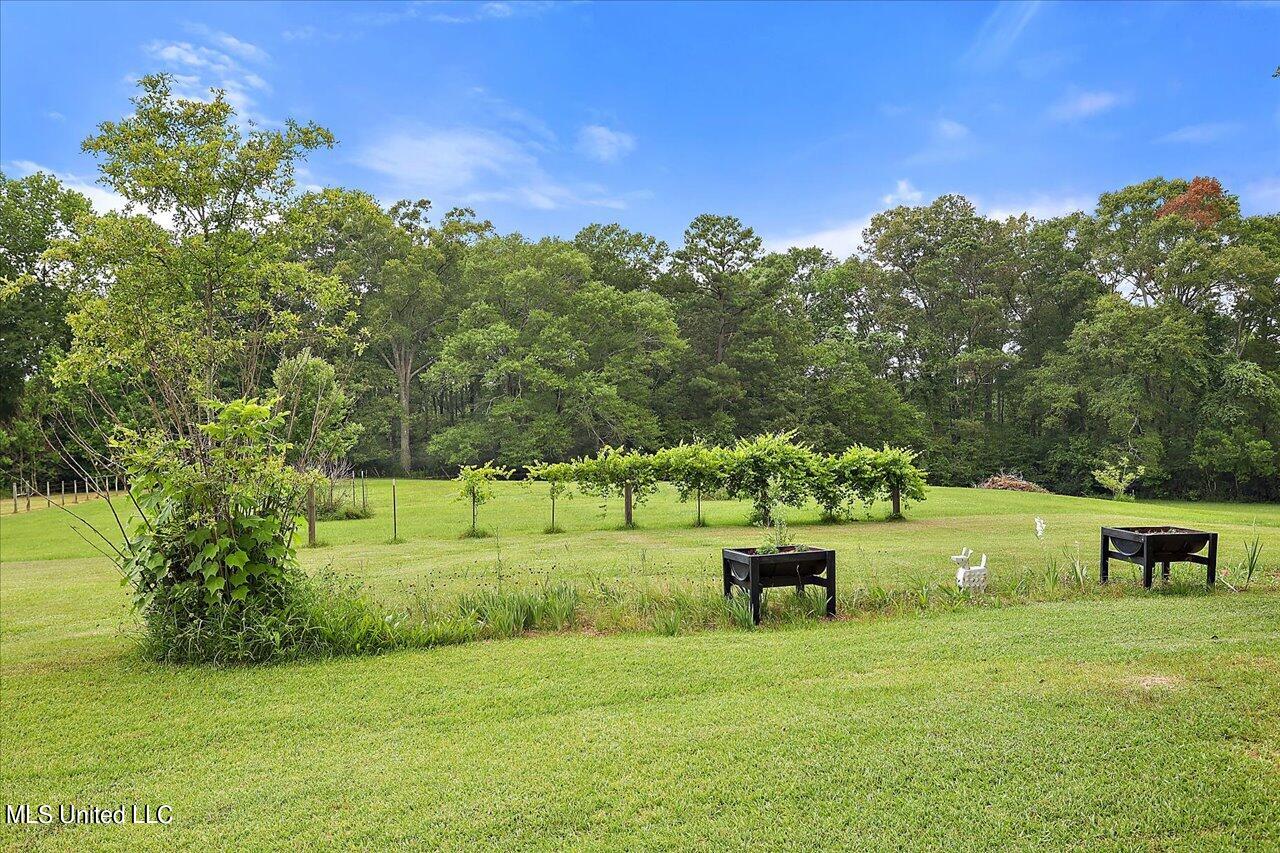 11657 Springridge Road Terry, MS 39170 - Photo 63 of 84 062-11657 Springridge Rd