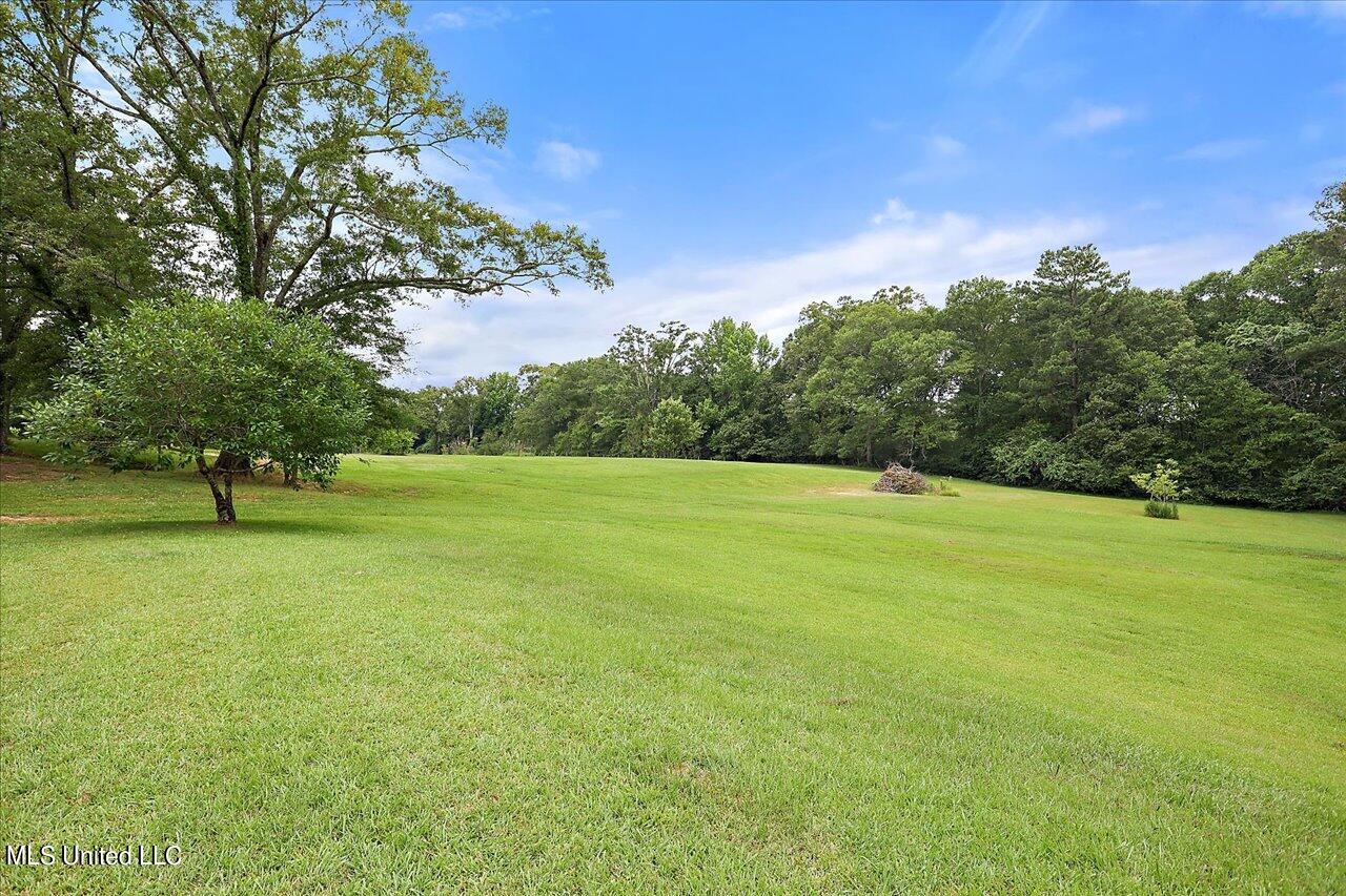 11657 Springridge Road Terry, MS 39170 - Photo 64 of 84 063-11657 Springridge Rd