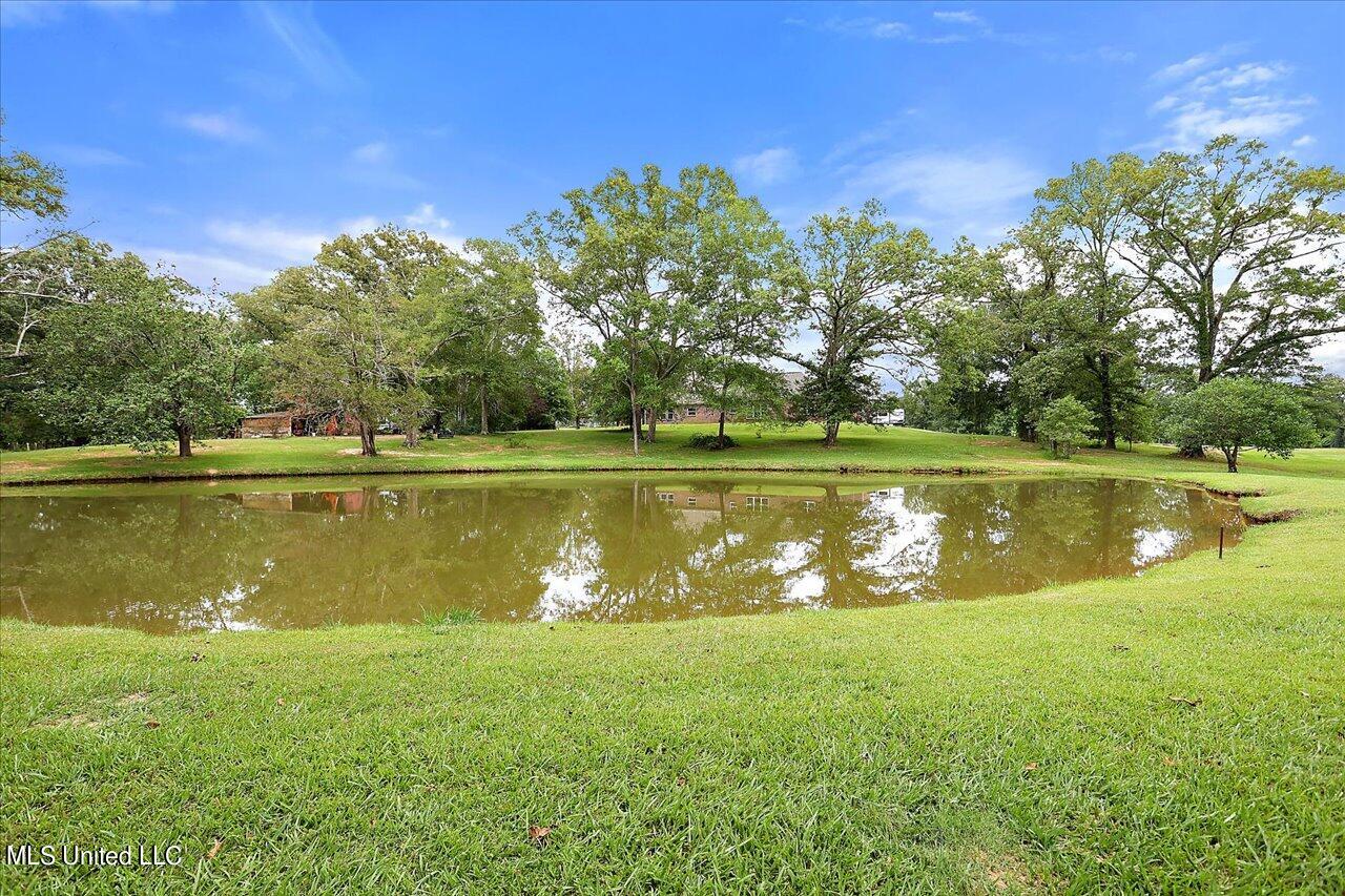 11657 Springridge Road Terry, MS 39170 - Photo 65 of 84 064-11657 Springridge Rd