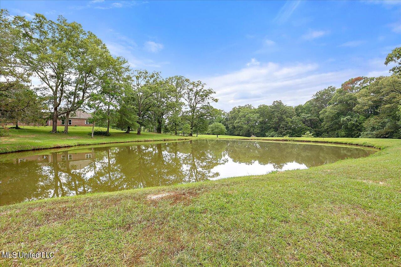 11657 Springridge Road Terry, MS 39170 - Photo 66 of 84 065-11657 Springridge Rd