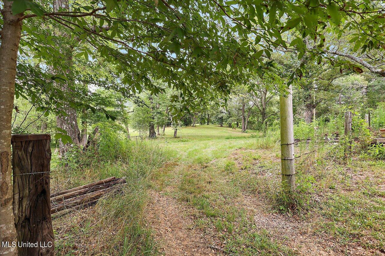 11657 Springridge Road Terry, MS 39170 - Photo 67 of 84 066-11657 Springridge Rd
