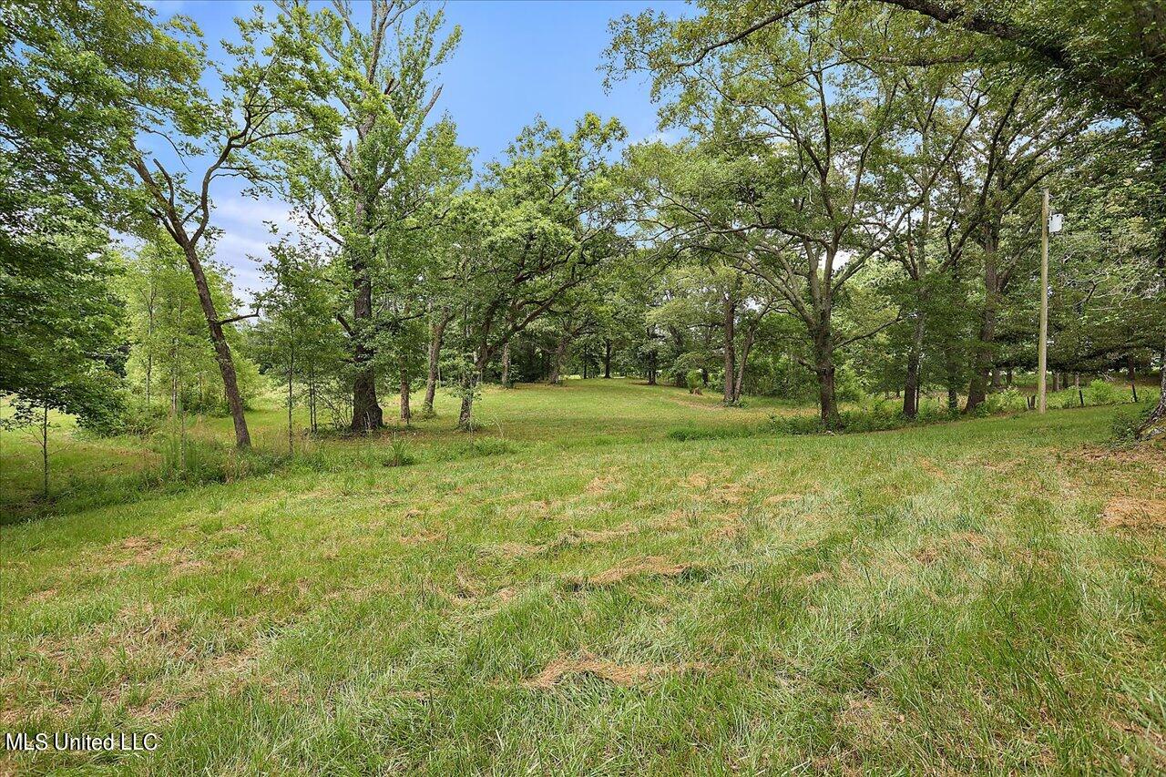 11657 Springridge Road Terry, MS 39170 - Photo 68 of 84 067-11657 Springridge Rd