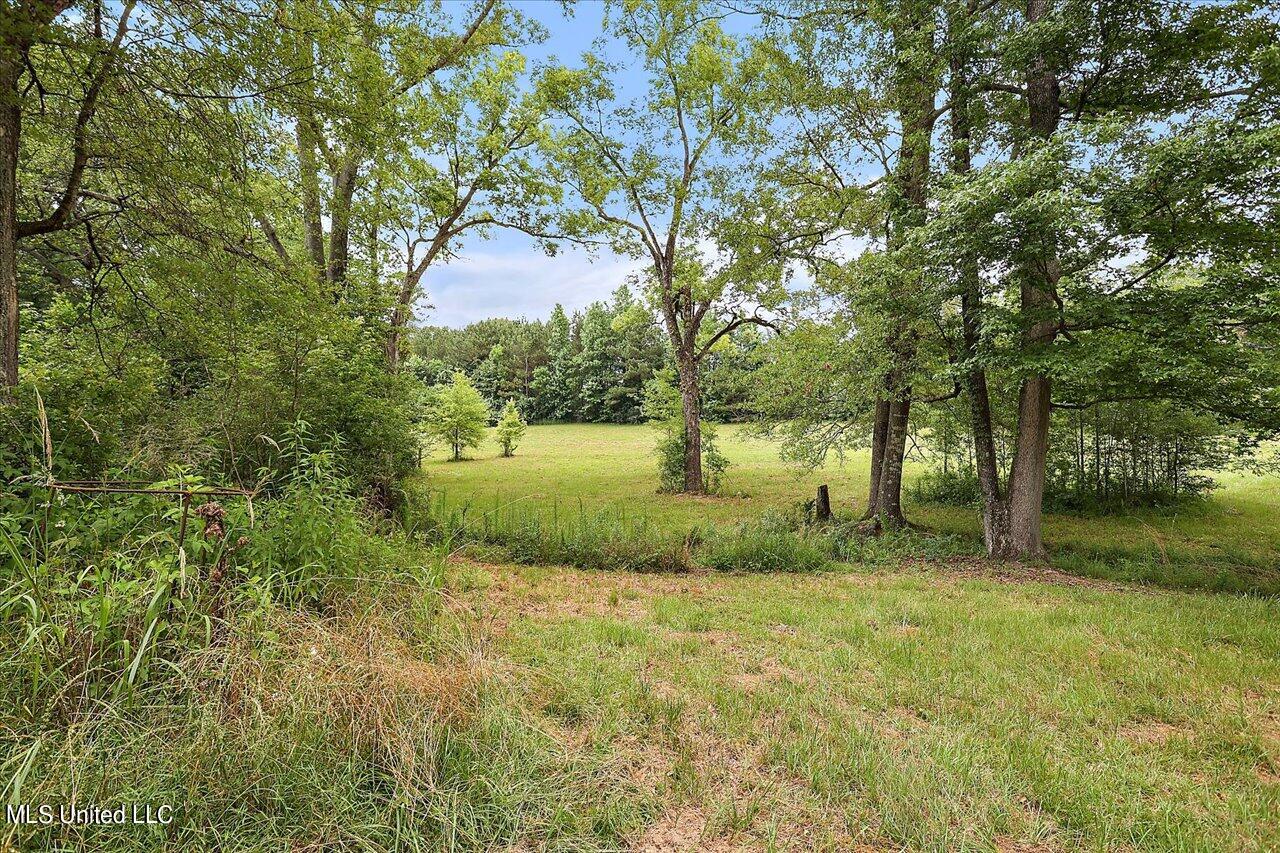 11657 Springridge Road Terry, MS 39170 - Photo 69 of 84 068-11657 Springridge Rd