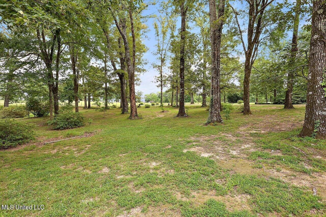 11657 Springridge Road Terry, MS 39170 - Photo 72 of 84 071-11657 Springridge Rd