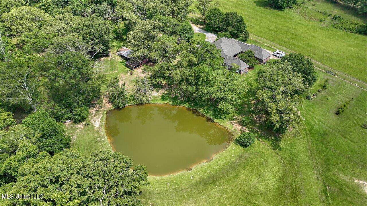 11657 Springridge Road Terry, MS 39170 - Photo 80 of 84 109-11657 Springridge Rd