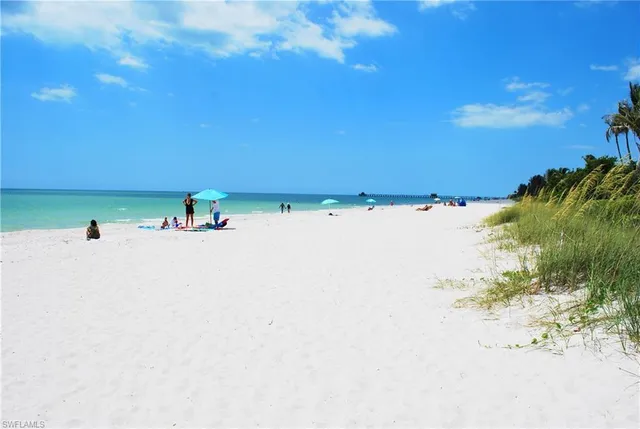 a view of a bunch of trees in middle of the