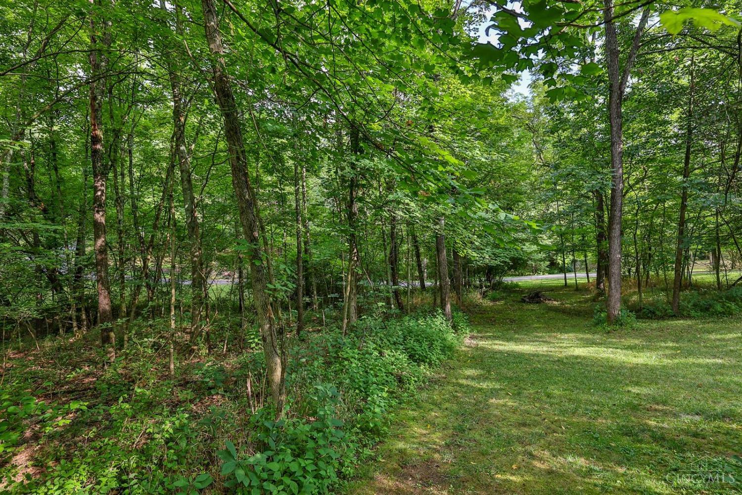 1042 Redbird Road Loveland, OH 45140 - Photo 41 of 42