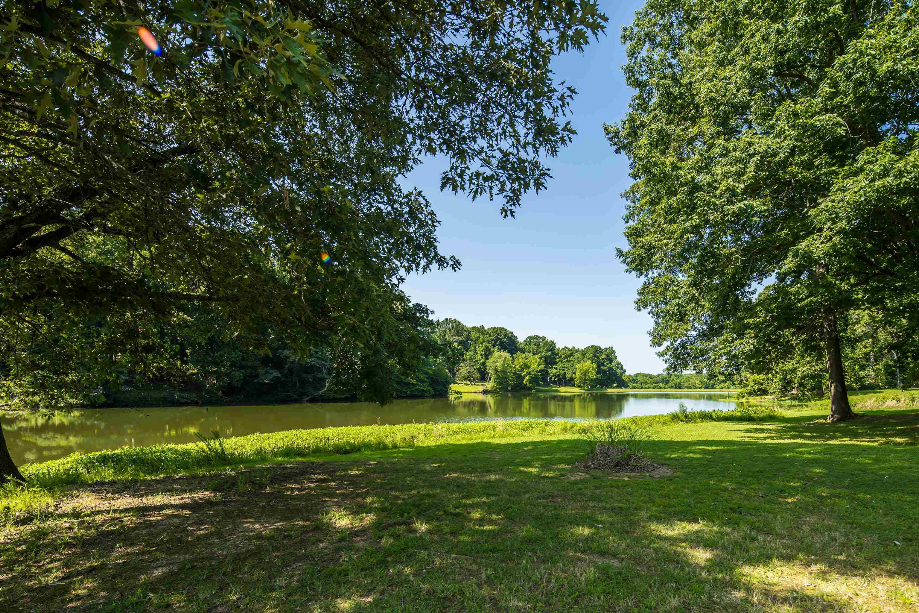 243 Hayes Road Munford, TN 38058 - Photo 21 of 25 Property has expansive lawn with many mature shade trees along the lake's edge.