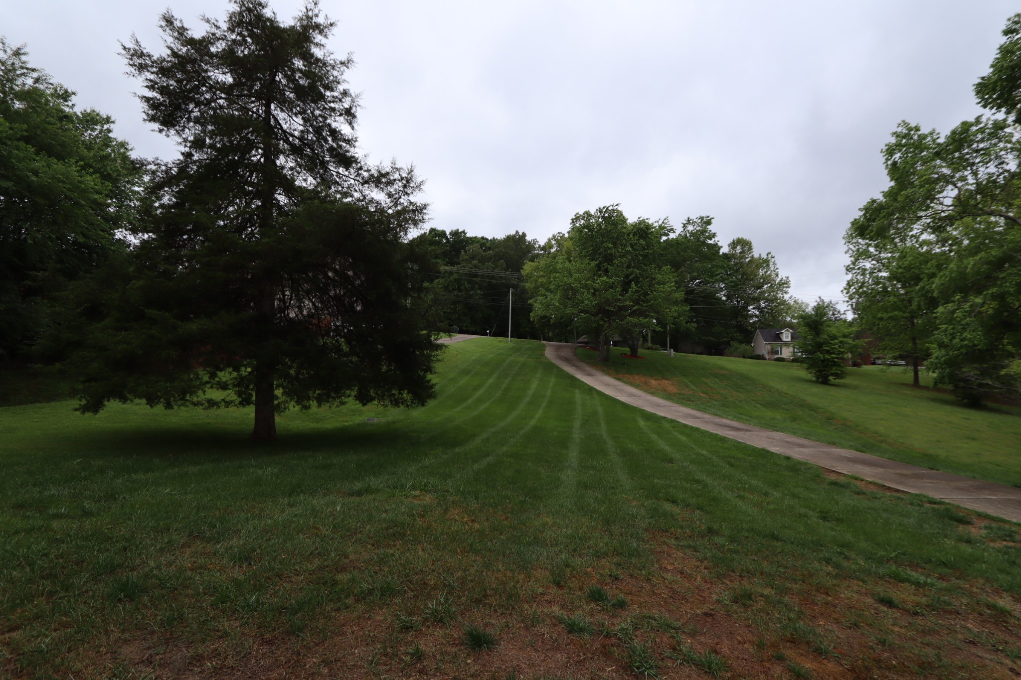7523 Chester Road Fairview, TN 37062 - Photo 41 of 53 a view of a park